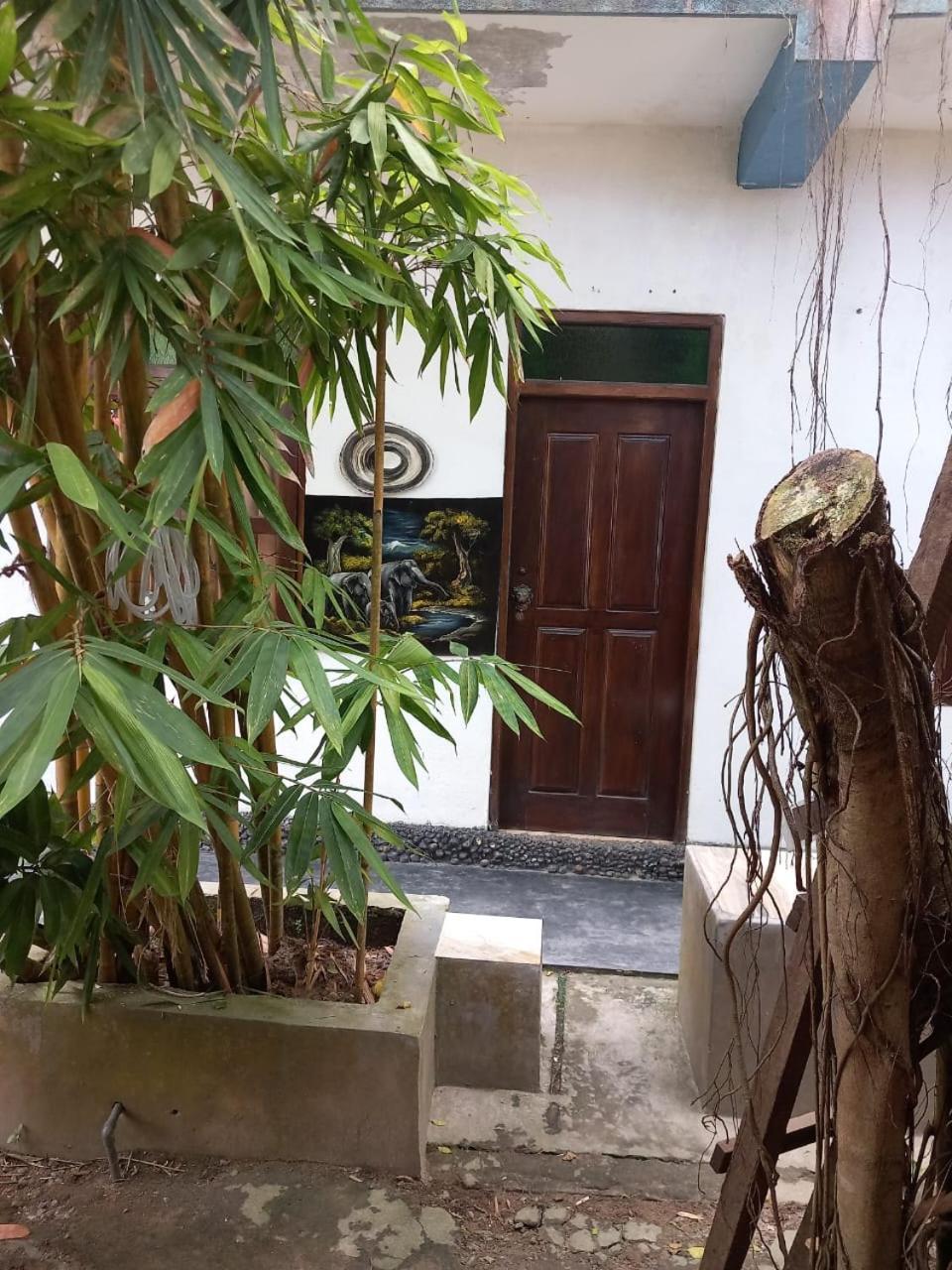 Suninn Hostel And Surf School فيليغاما المظهر الخارجي الصورة