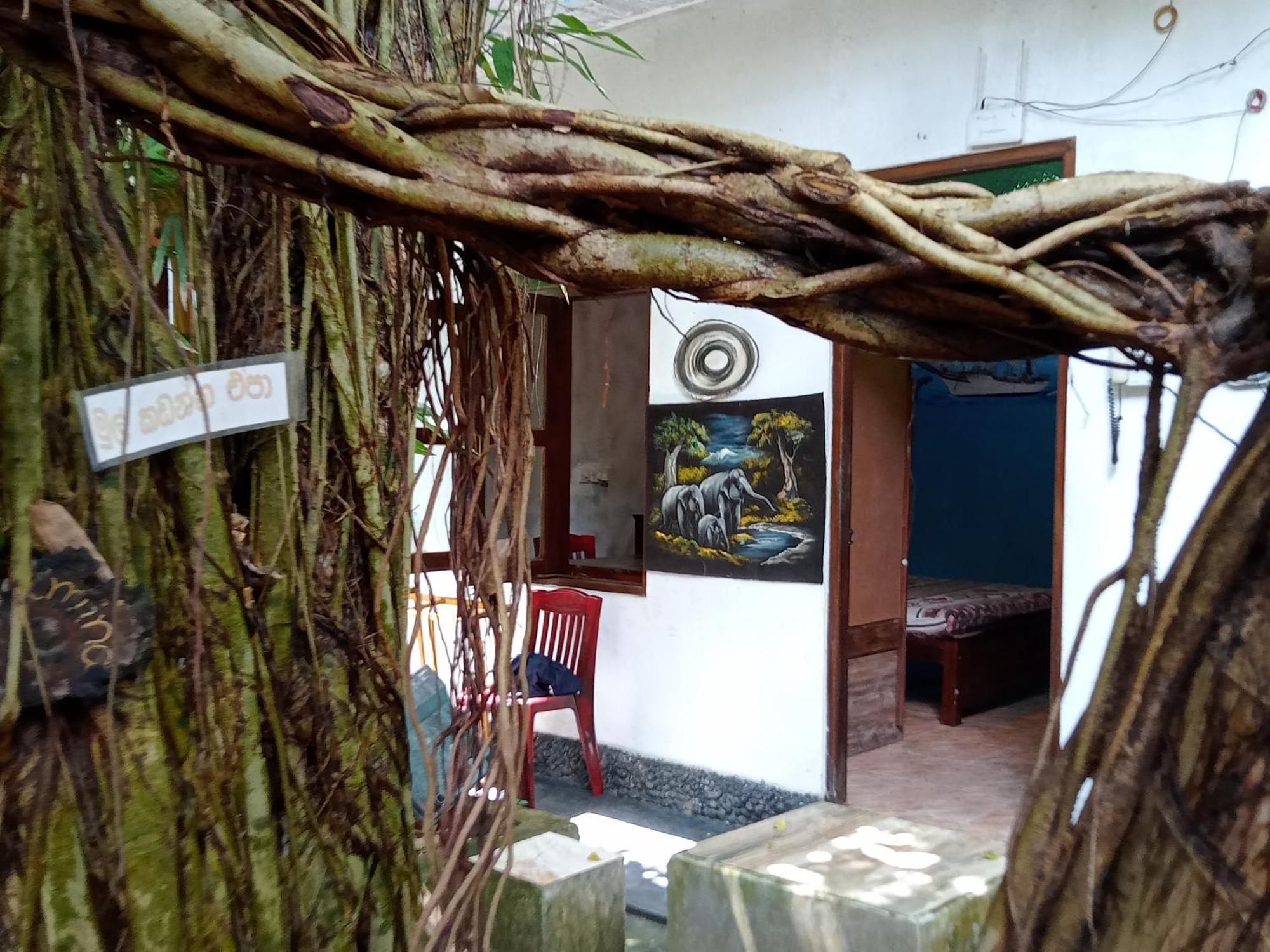 Suninn Hostel And Surf School فيليغاما المظهر الخارجي الصورة